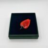 Stuudio Ankoopi pross - Punane tulp
