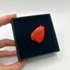 Stuudio Ankoopi pross - Punane tulp