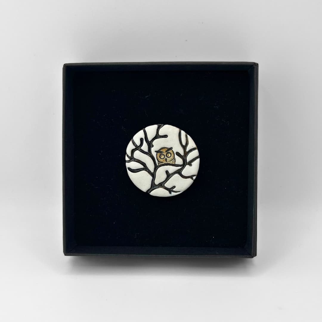 Stuudio Ankoopi pross - Öökullike